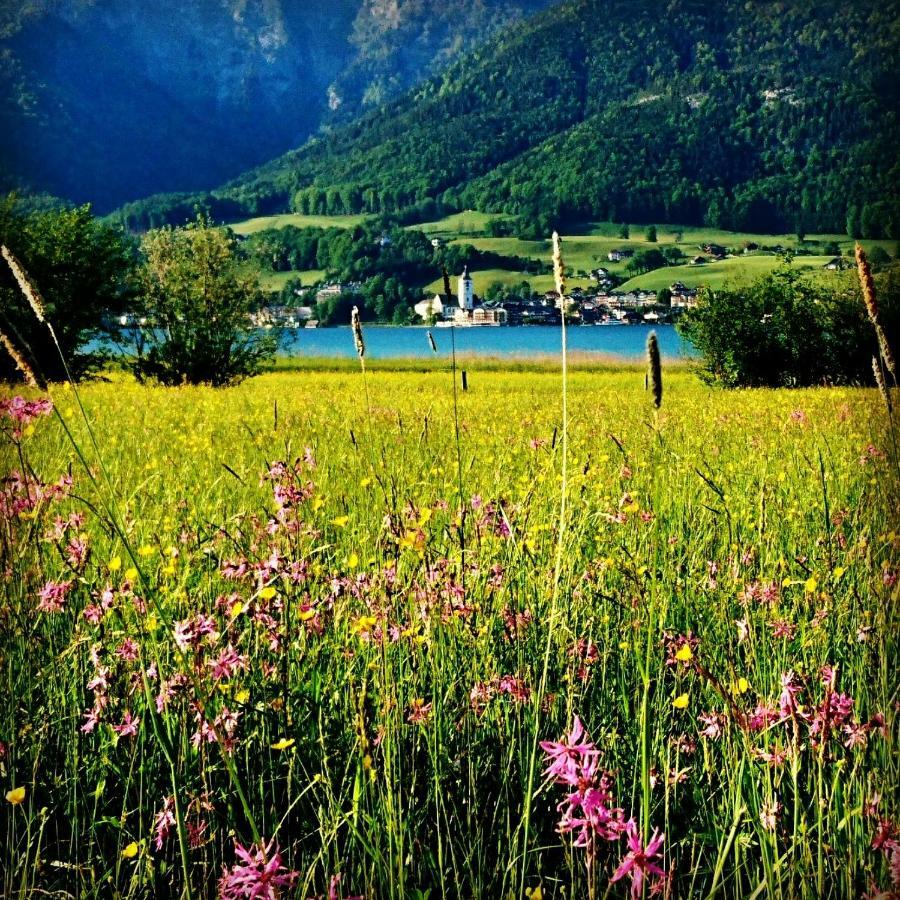 Fumerhof Strobl Exterior photo